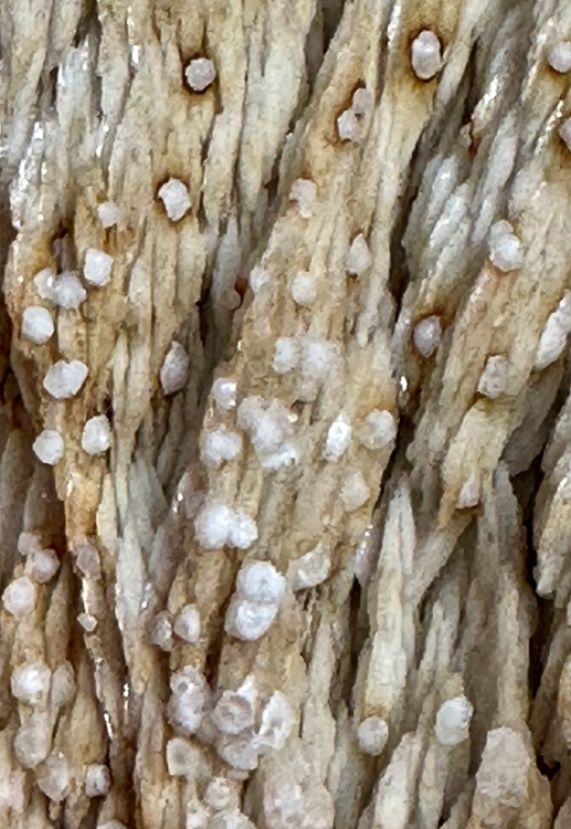 Capture d’écran 2023-11-19 à 19.14.35.png