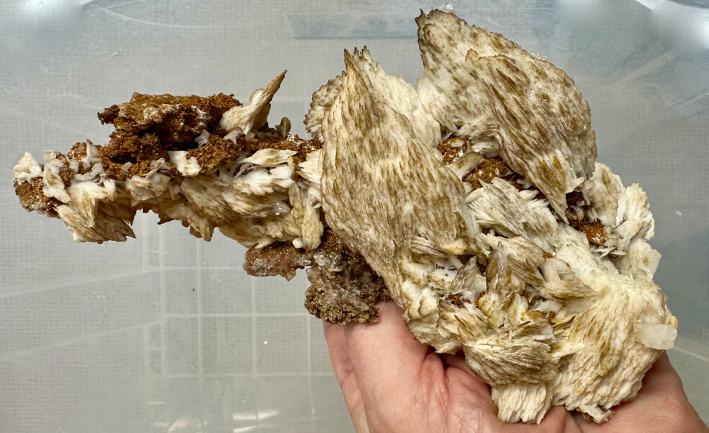 Capture d’écran 2023-11-22 à 11.52.49.png