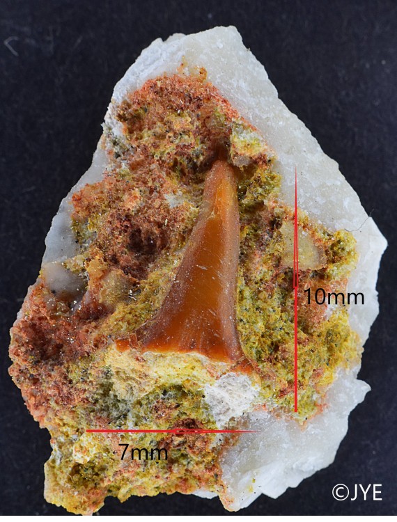 DSC_0135 (2) fini.jpg