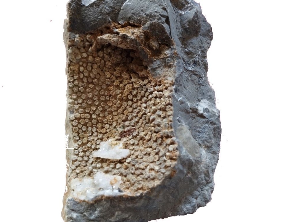 IMG_20231126_124651 M 1024px.jpg