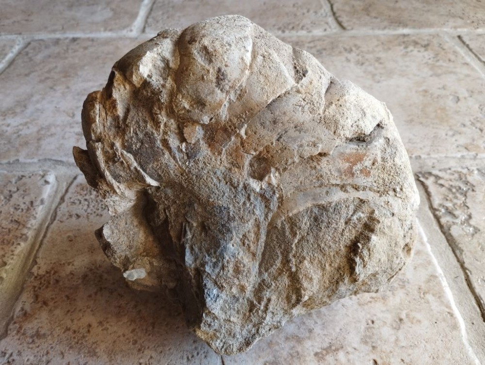 IMG_20231126_140302 1024px.jpg