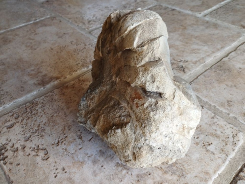 IMG_20231126_140316 1024px.jpg