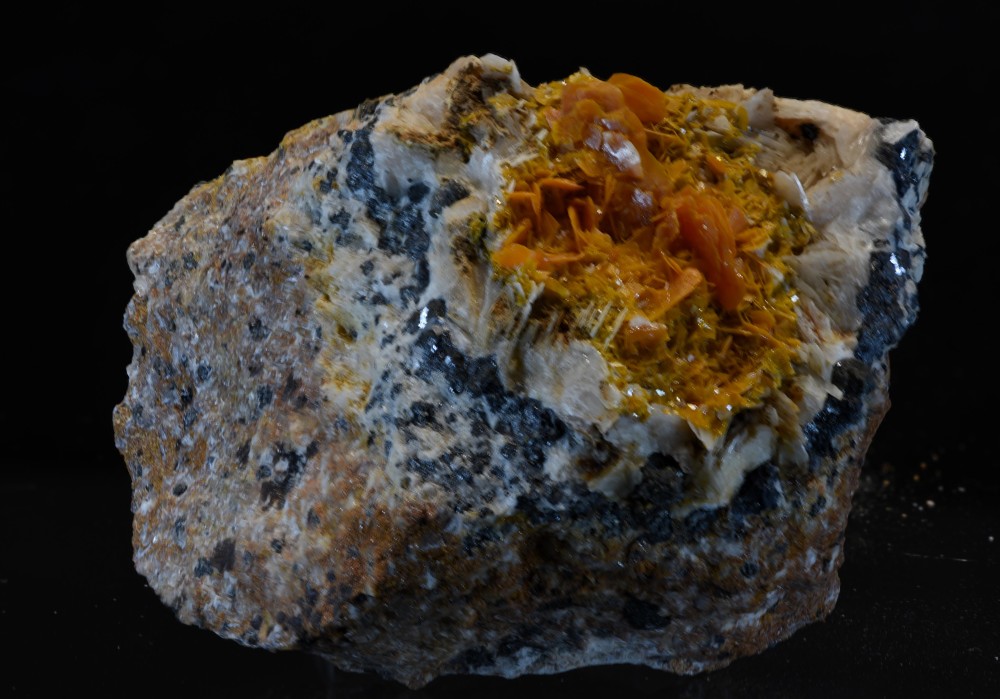 Maroc2023 Mibladen wulf1 s6.jpg