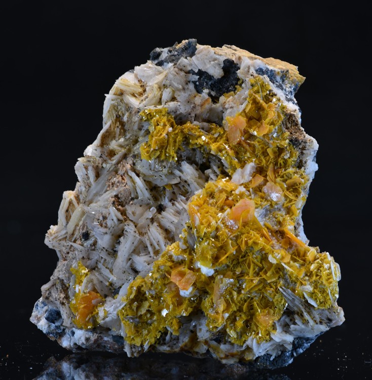 Maroc2023 Mibladen wulf2 s5.jpg