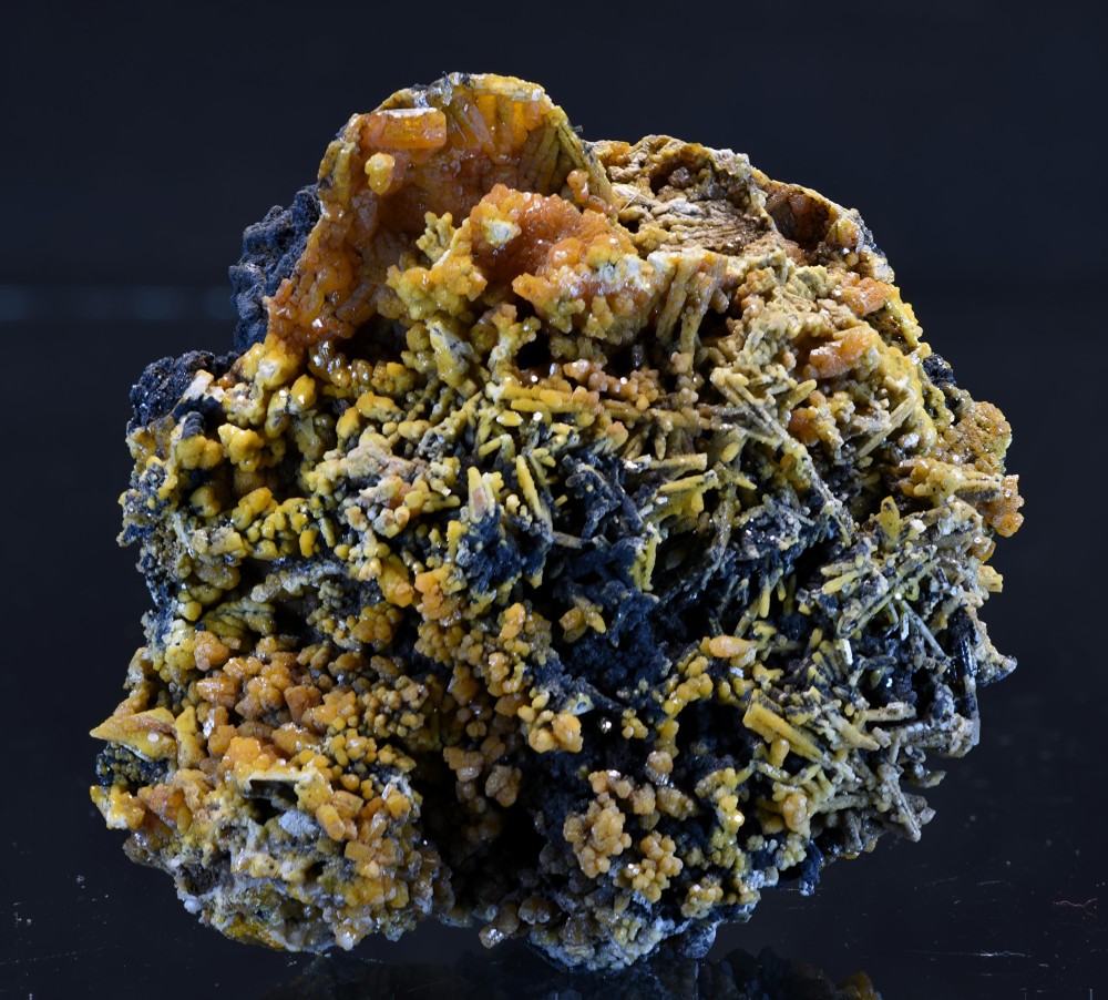 Maroc2023 Taouz F12 1 s5.jpg