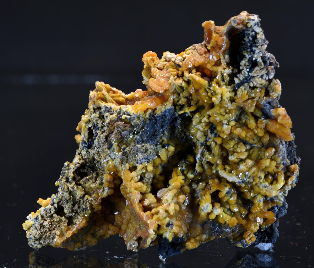 Maroc2023 Taouz F12 2 s5.jpg