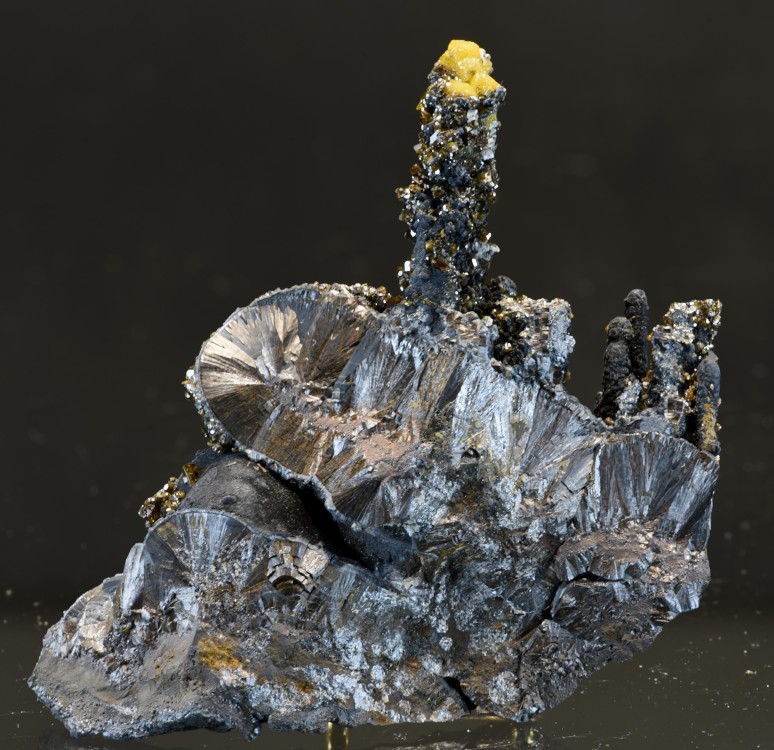 Maroc2023 Taouz F12 4 s4.jpg