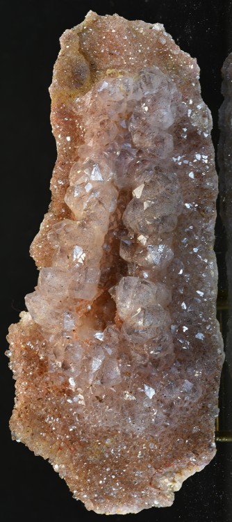 Maroc 2023 vulvite s4.jpg