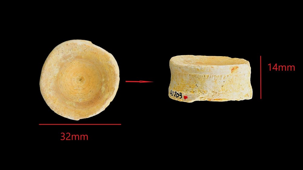 Nouveau projet(6).jpg