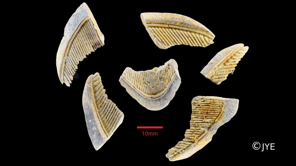 Nouveau projet(8)2.jpg