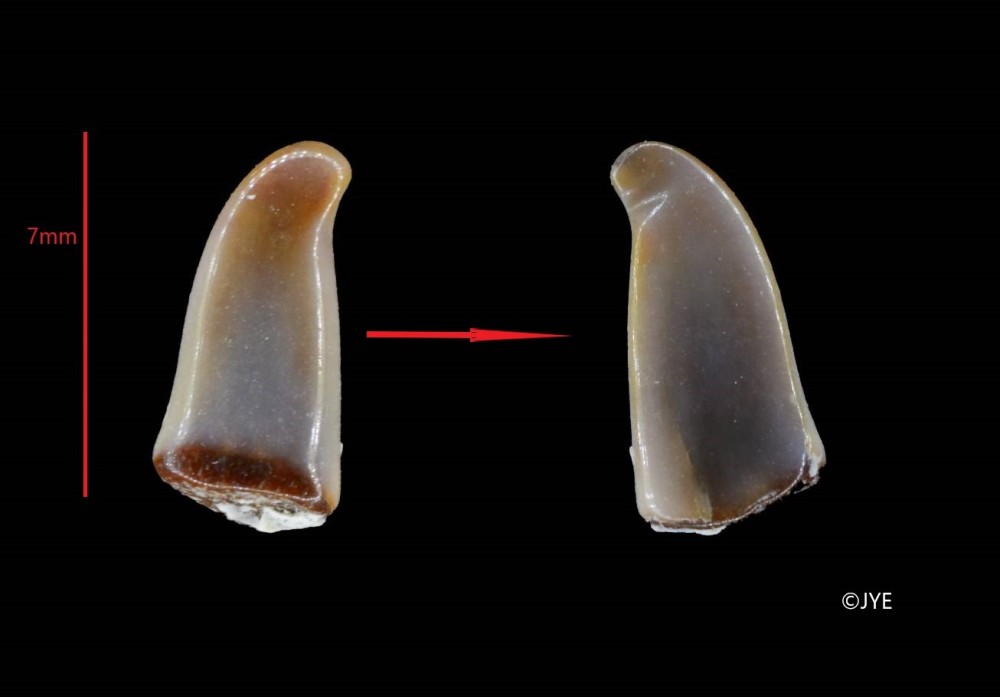 Nouveau projet-3 fini.jpg