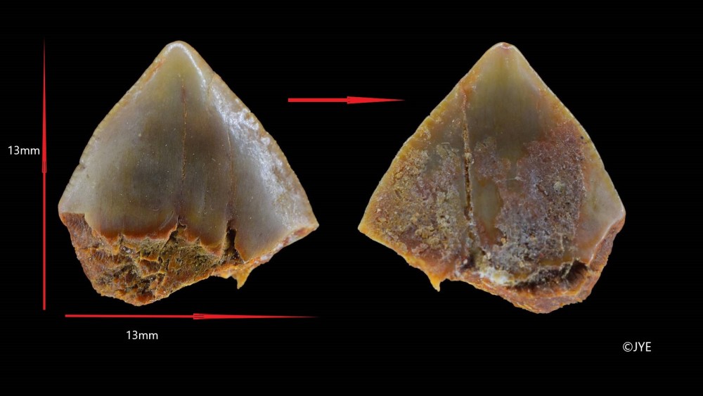 Nouveau projet-4 fini.jpg