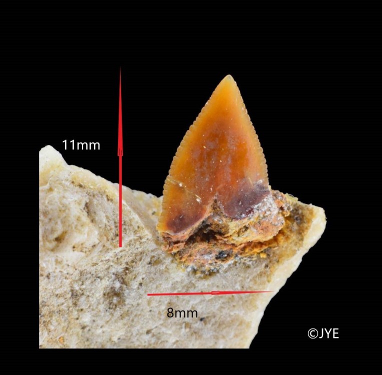 Nouveau projet-7 fini.jpg