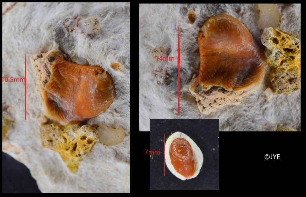 Nouveau projet-8 fini.jpg
