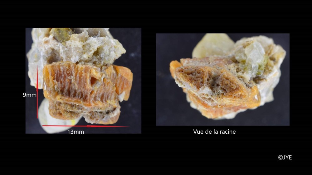 Nouveau projet-9 fini.jpg