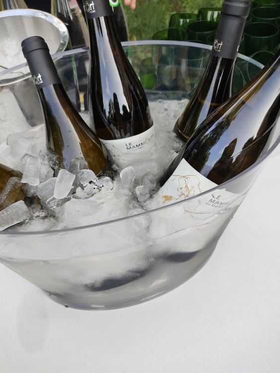 347425643_771312328112977_572907462175347775_n (1).jpg