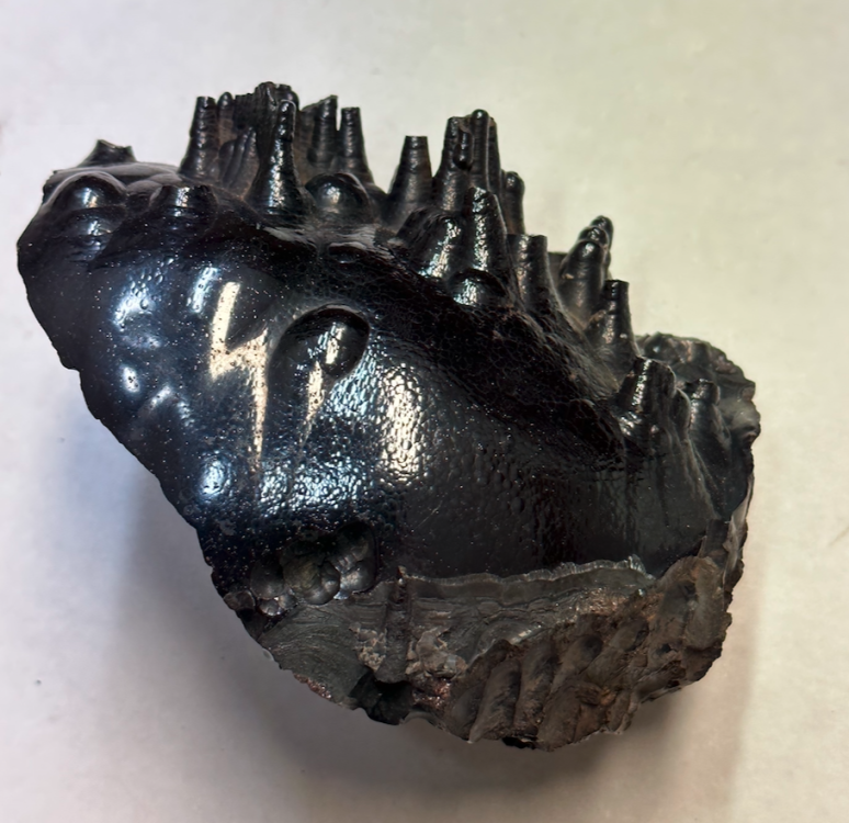 Capture d’écran 2023-11-02 à 14.00.16.png