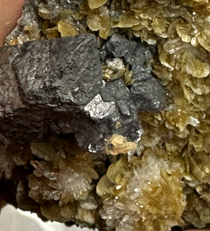 Capture d’écran 2023-12-23 à 22.42.37.png