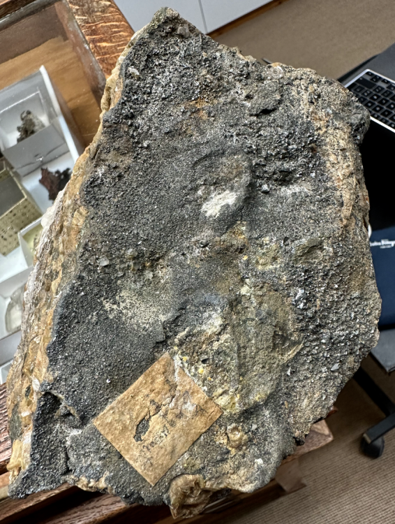 Capture d’écran 2023-12-24 à 16.24.18.png