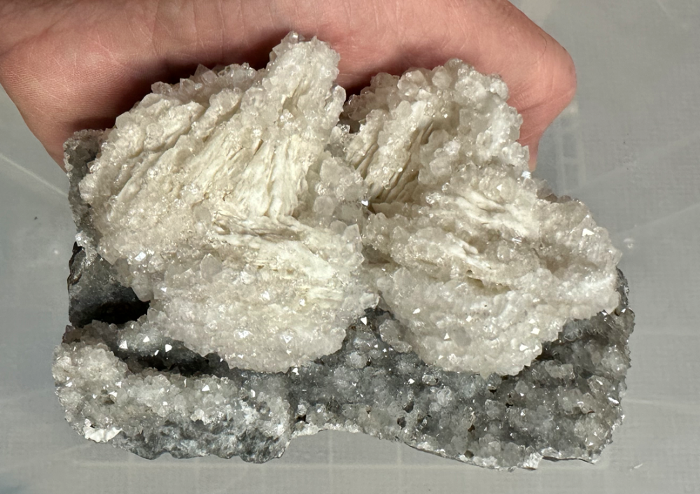 Capture d’écran 2023-12-27 à 01.15.08.png