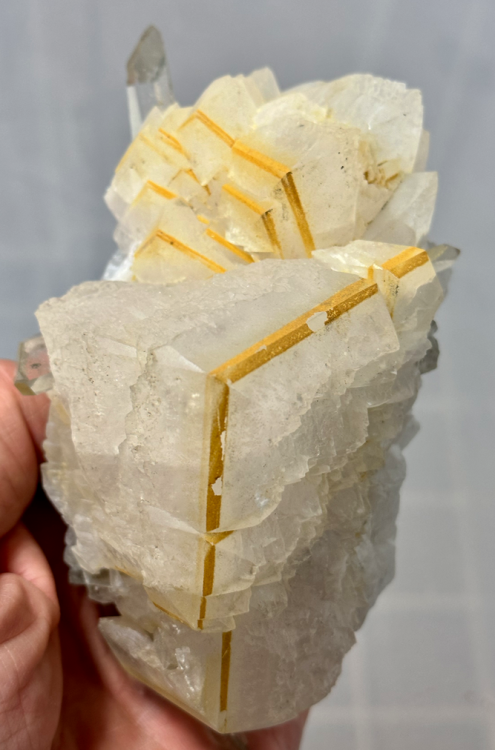 Capture d’écran 2023-12-27 à 13.02.14.png