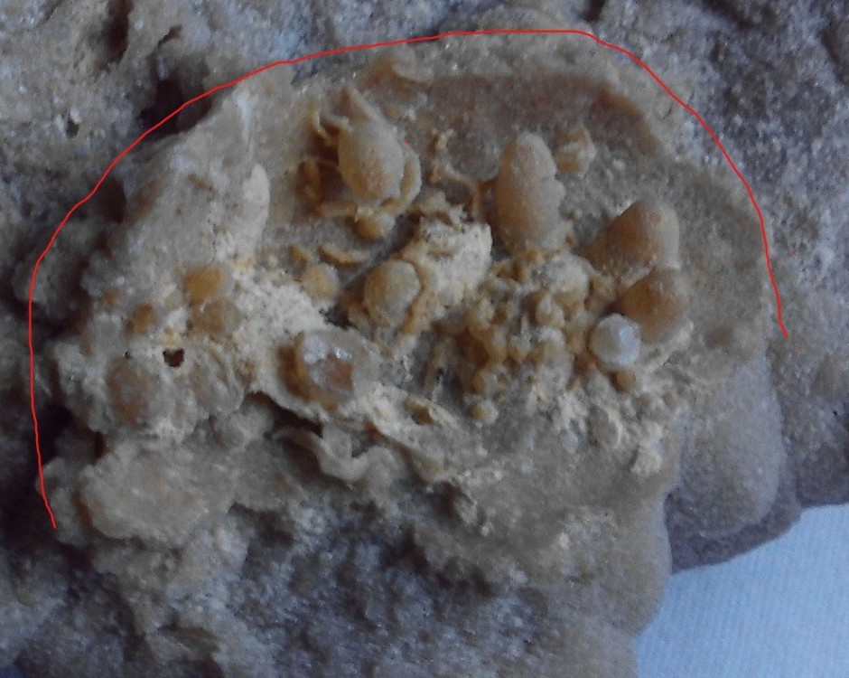 Capture web_14-12-2023_143735_www.geoforum.fr.jpeg