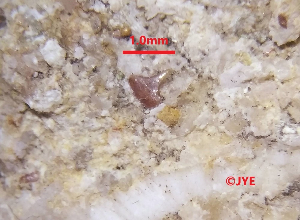 IMG_20231227_153636 (2).jpg