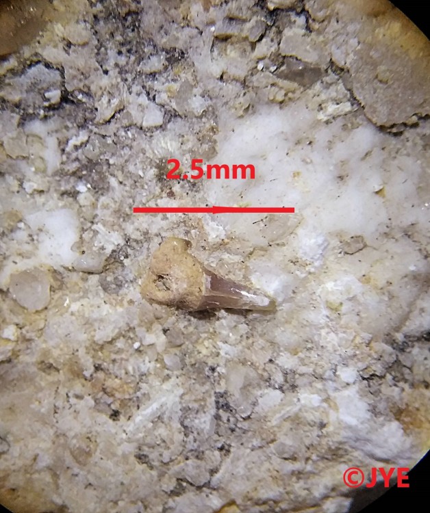 IMG_20231227_153721 (2).jpg