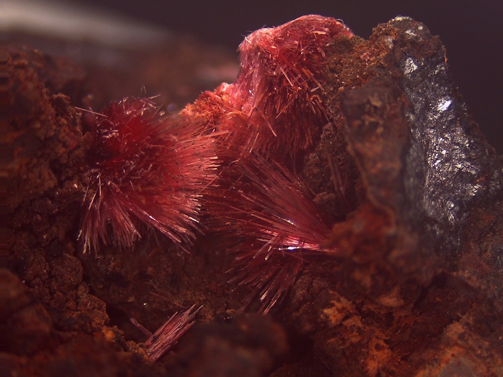 Maroc2023 Bou Azer 134x100  15.jpg