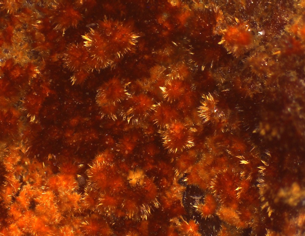 Maroc2023 Bou Azer 37X28  S9.jpg