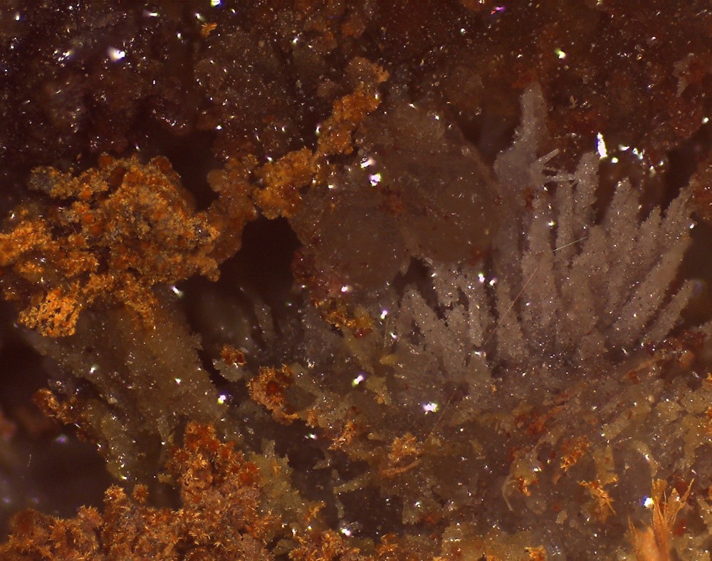 Maroc2023 Bou Azer 54x40 s13.jpg