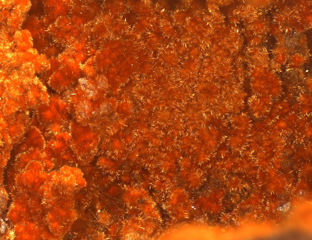 Maroc2023 Bou Azer 68X51  S17.jpg