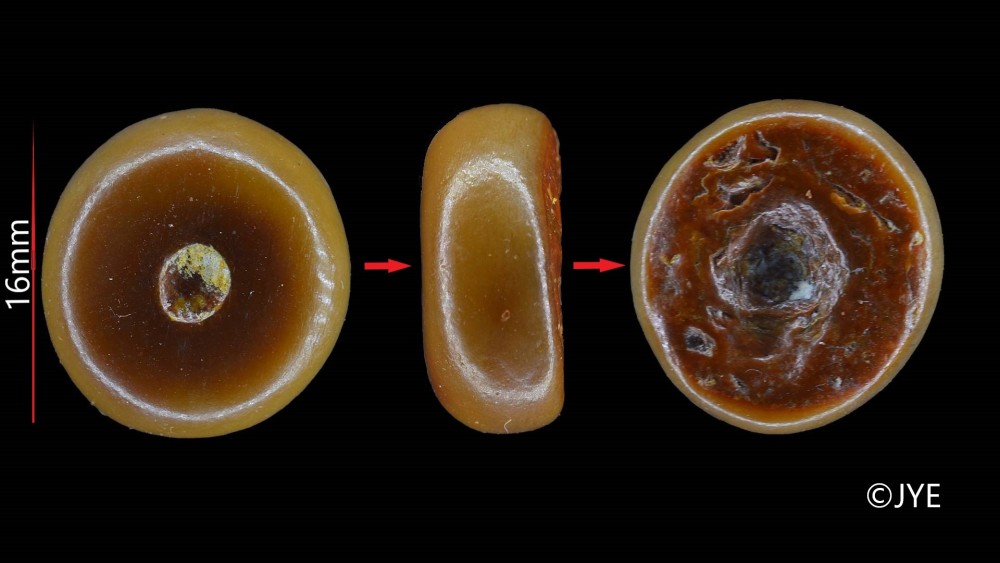 Nouveau projet-11 fini.jpg