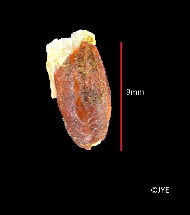 Nouveau projet-20 fini.jpg