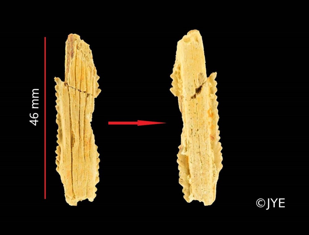 Nouveau projet-27.jpg