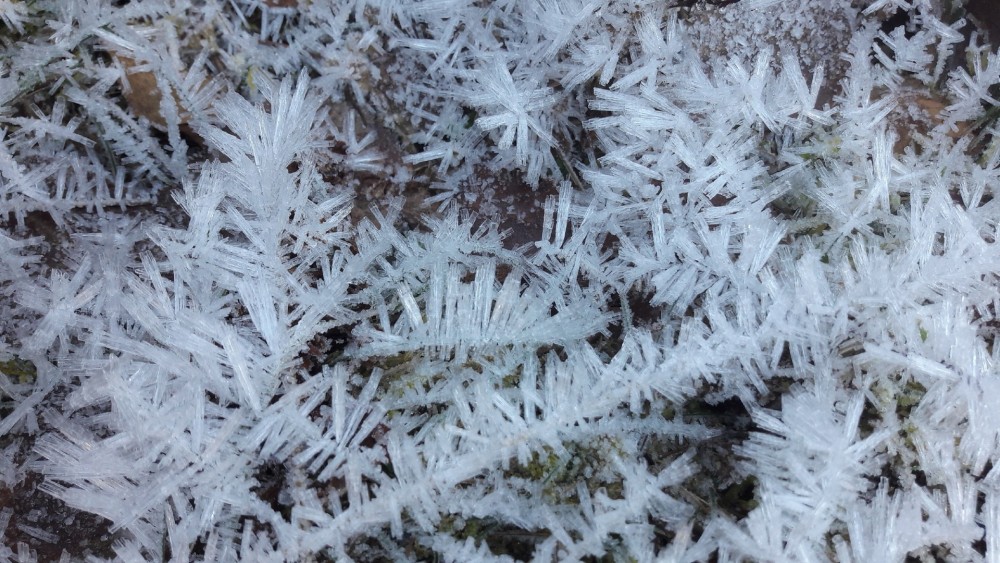 Cristaux de glace (1) (Copier).jpg