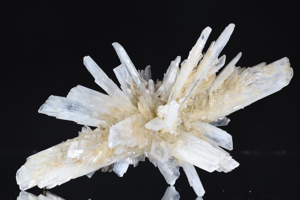 Gypse Angervillier.JPG