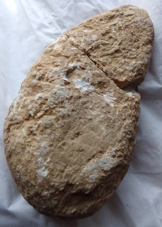 IMG_20231221_150048 (1).jpg