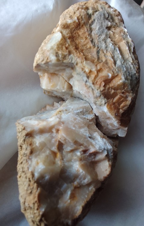 IMG_20231221_153102 (1).jpg