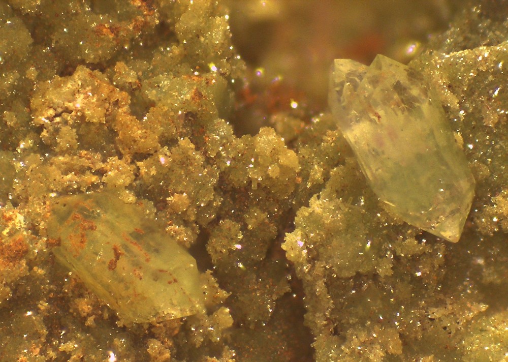 Maroc2024 TaouzF12 31x22 s17.jpg