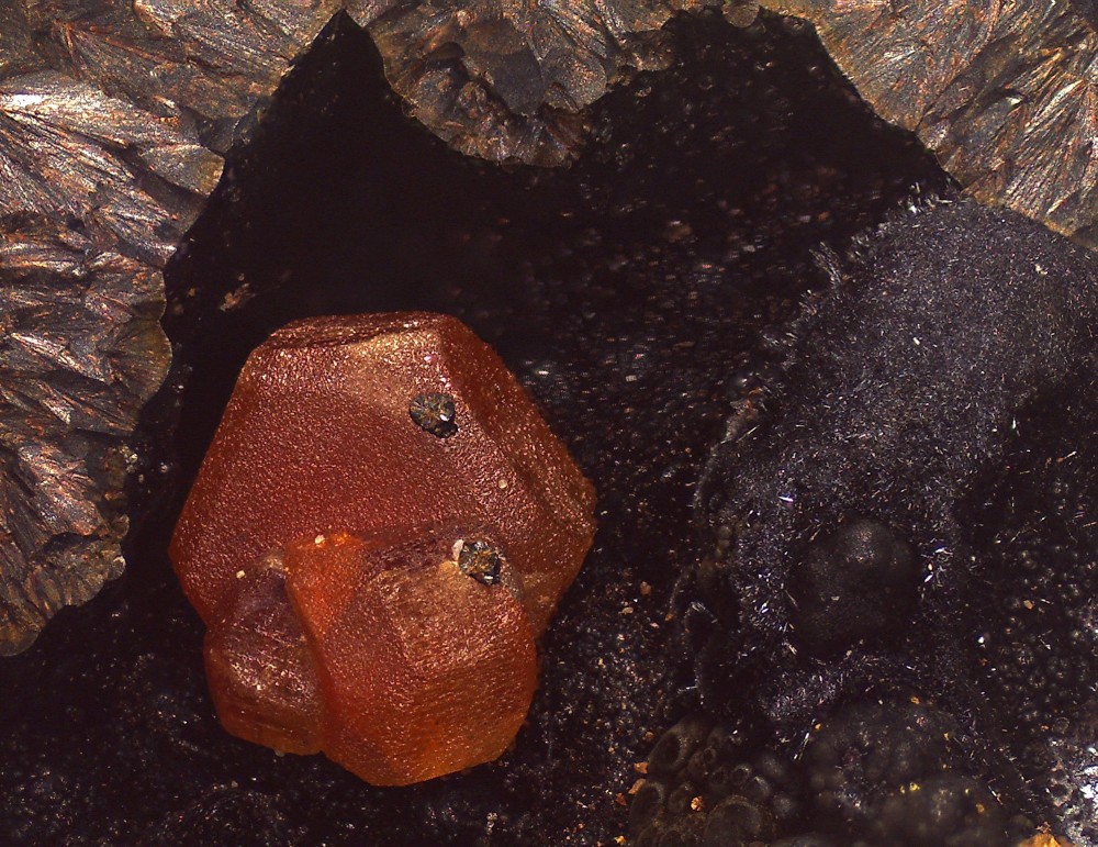 Maroc2024 Taouz F12 69x51 s24.jpg