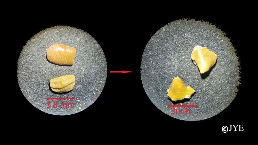 Nouveau projet-31 1.jpg
