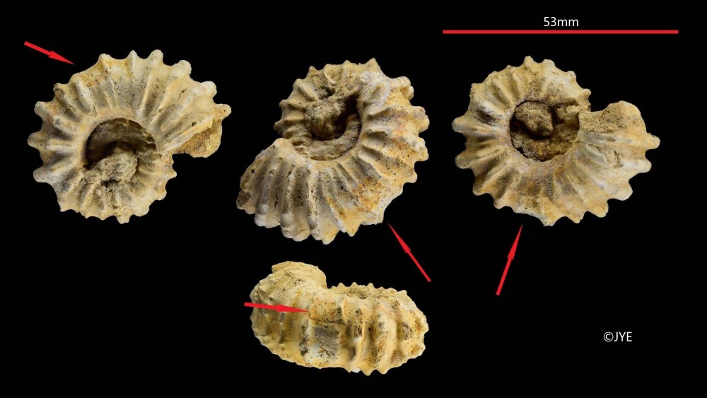 Nouveau projet-34 fin.jpg