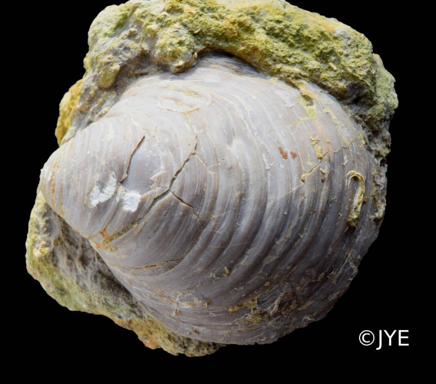 Nouveau projet-35.jpg