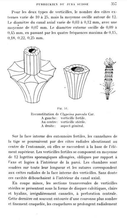 Screenshot_20240119_233948_Samsung Notes.jpg