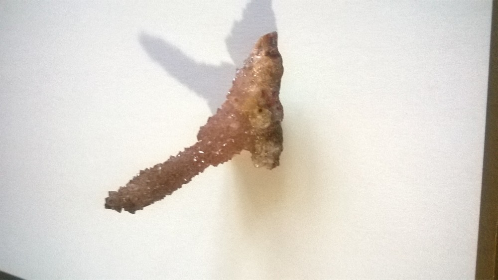 WP_20150114_09_15_27_Pro - Copie.jpg