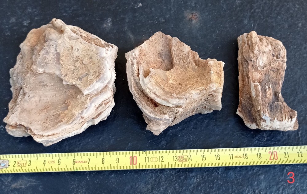 bois de rouflat 4.jpg