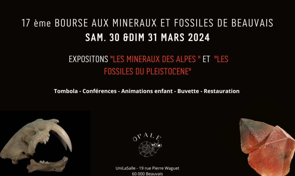 bourse-mineraux-beauvais-cristaux-geologie.png