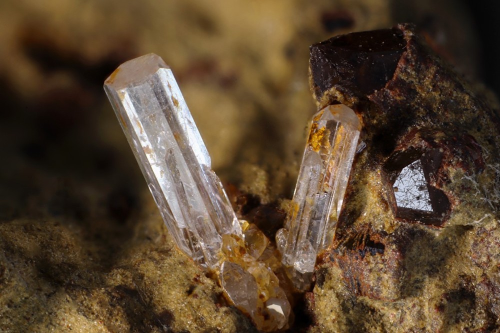 Apatite Luz Saint Sauveur FOV 7 mm 018.jpg