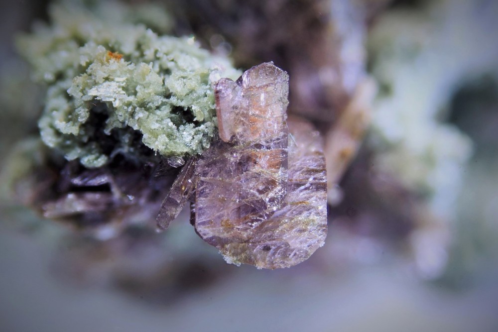 Axinite sur diopside pic d'Izes FOV 15 mm 001 (4) (Copier).JPG